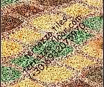 μωσαικα